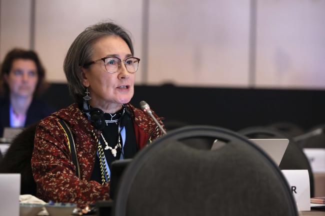Lisa Qiluqqi Koperqualuk, Inuit Circumpolar Council 