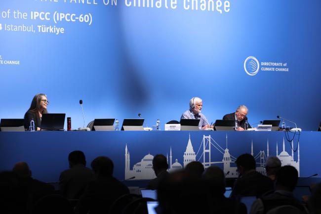 View of the dais during the afternoon plenary