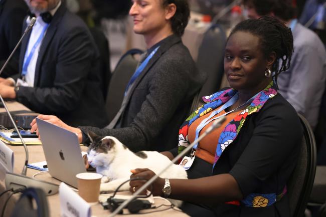 WGI Co-Chair Nana Ama Browne Klutse, Ghana 