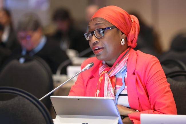 WGII Co-Chair Fatima Denton, Gambia 