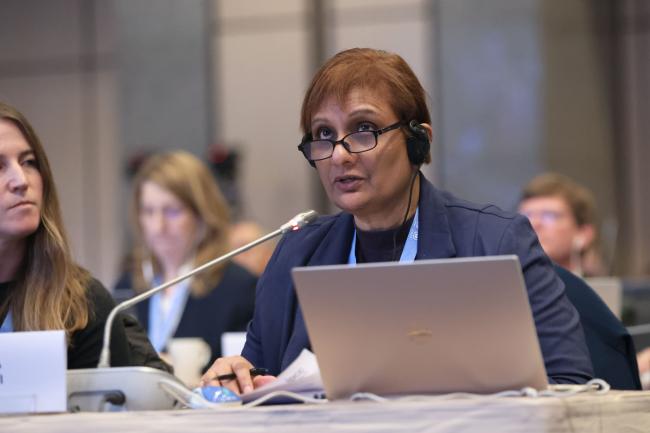 WGIII Co-Chair Joy Jacqueline Pereira, Malaysia 