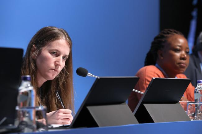 Working Group (WG) III Katherine Calvin, US 
