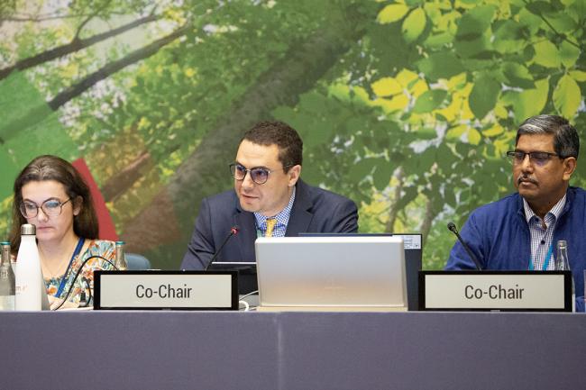 Ayman Cherakoui, Africa Regional Co-Facilitator - GMGSF - 24Feb 2024