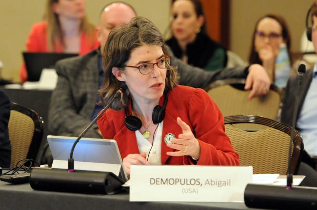 Abigail Demopulos, Council Member, US