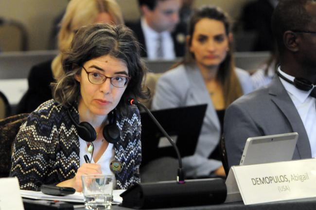 Abigail Demopulos, Council Member, US