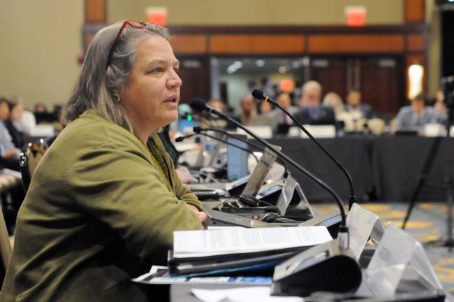 Annette Windmeisser, Council Member, Germany