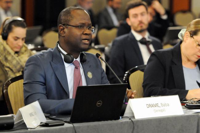 Baba Drame, Alternate Council Member, Senegal