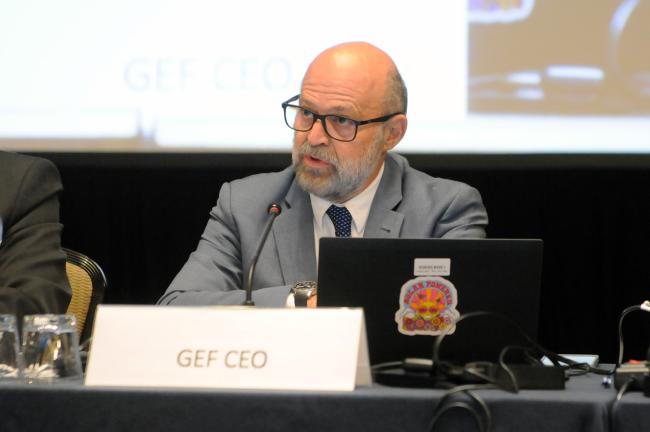 Carlos Manuel Rodríguez, GEF CEO and Council Co-Chairperson