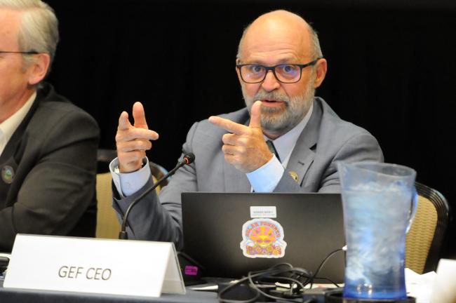 Carlos Manuel Rodríguez, GEF CEO and Council Co-Chairperson 