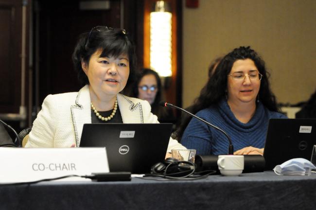 Chizuru Aoki and Fareeha Iqbal, GEF Secretariat
