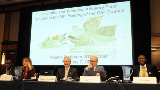 The dais during the presentation from Rosina Bierbaum, STAP Chair