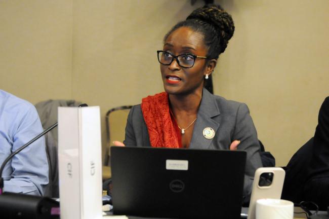 Dora Nsuwa Cudjoe, Climate Investment Funds (CIF)