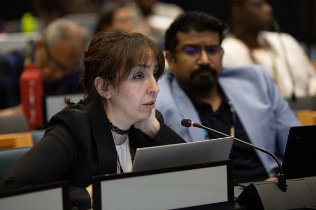 Firdaous Oussidhoum, United Cities and Local Governments- GMGSF20 - 25Feb 2024