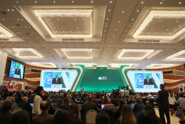 Delegates gather in plenary for the opening ceremony
