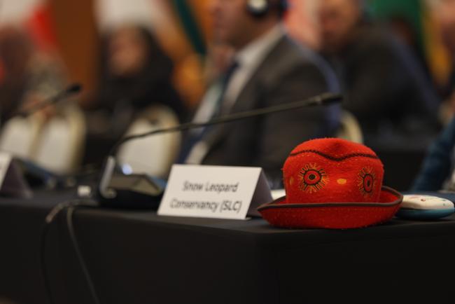 Hat on table