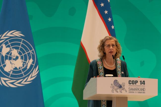 Inger Andersen, Executive Director, UNEP