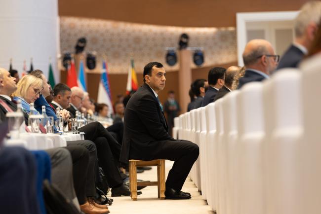 Delegate in plenary