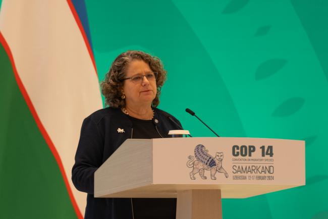 Amy Fraenkel, CMS Executive Secretary