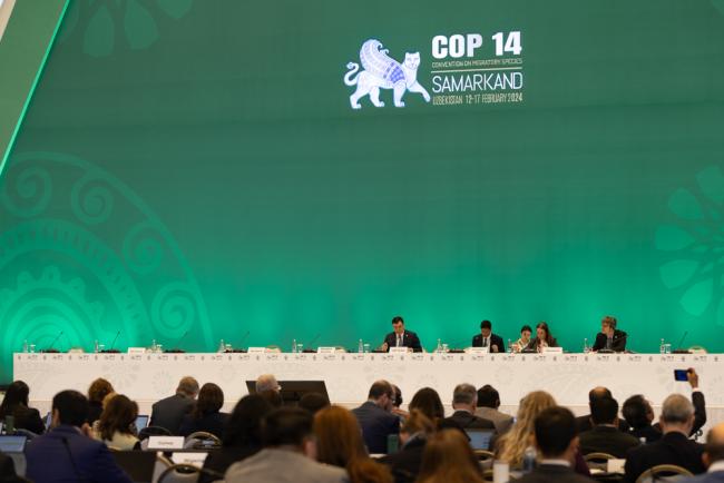 View of the dais during the morning plenary 