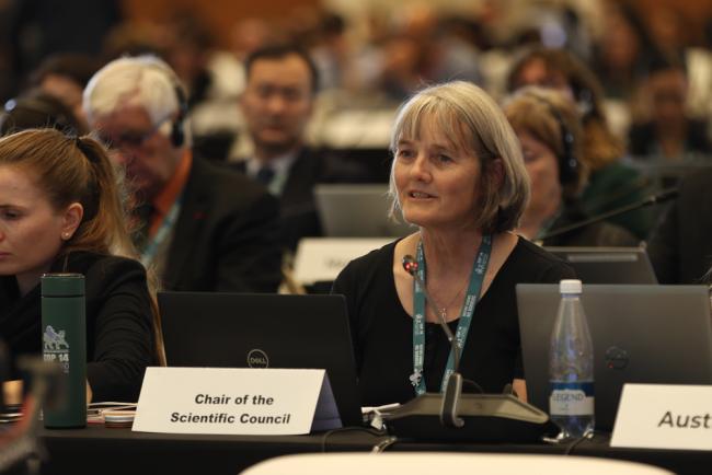 Narelle Montgomery, Chair of the Scientific Council
