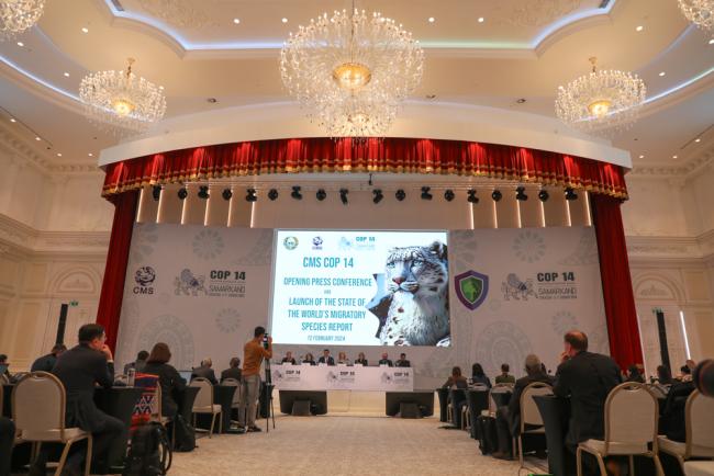 Delegates gather for the launch of the new 'State of the World's Migratory Species' report