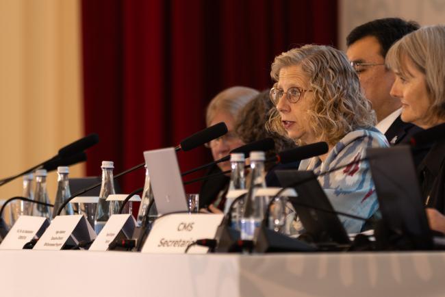 Inger Andersen, Executive Director, UNEP