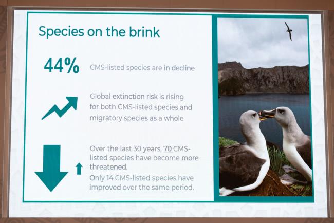 The new report highlights how many species are on the brink