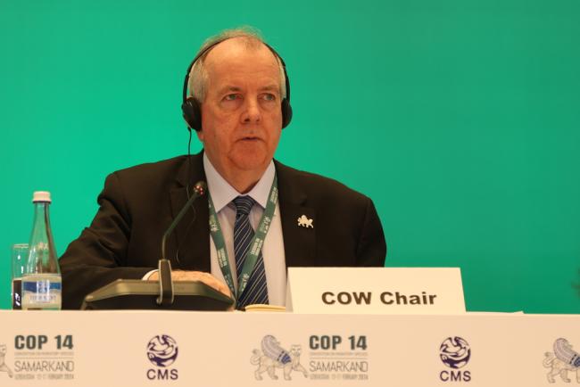 Colin Galbraith, Committee of the Whole (CoW) Chair