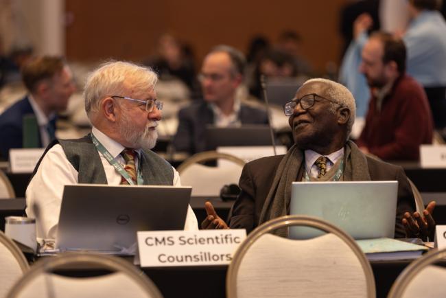 CMS Scientific Councillors