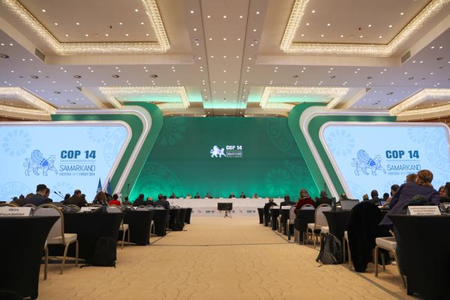 Delegates gather in the morning plenary to discuss various scientific assessments and reports