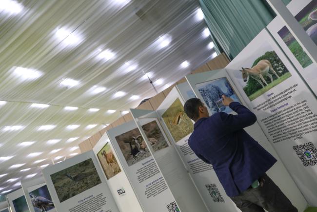 A delegate takes photos of the information on display around the expo centre