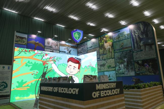 Exhibition area