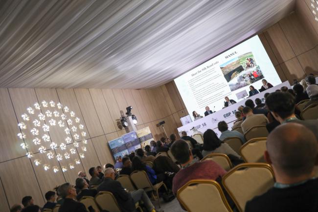 Various side events are held throughout the day, including one focusing on the cats of the Silk Road