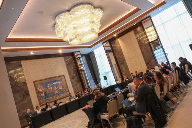 Working Group on Cross-Cutting Issues