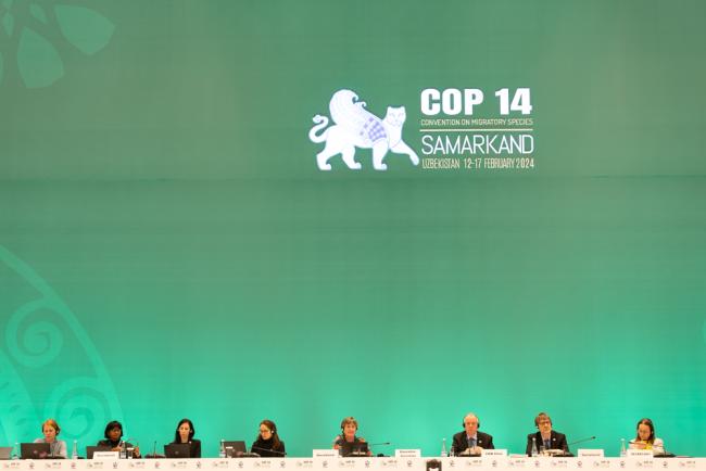 View of the dais during the afternoon plenary 