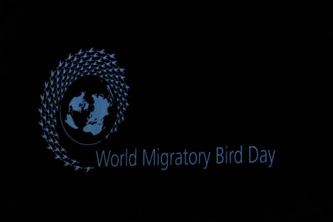 World migratory bird day