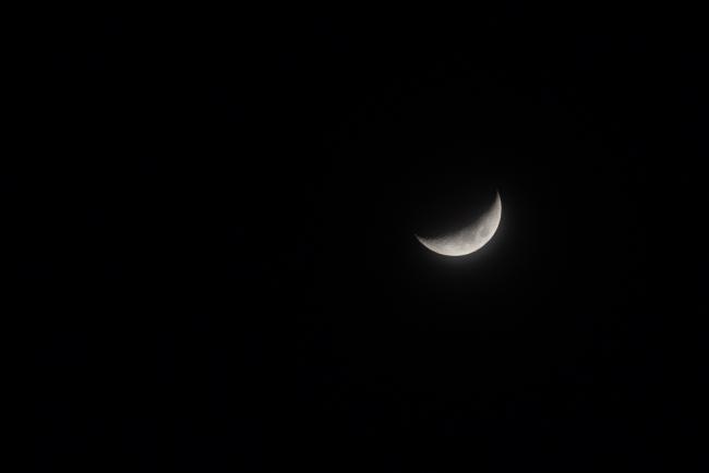 Moon