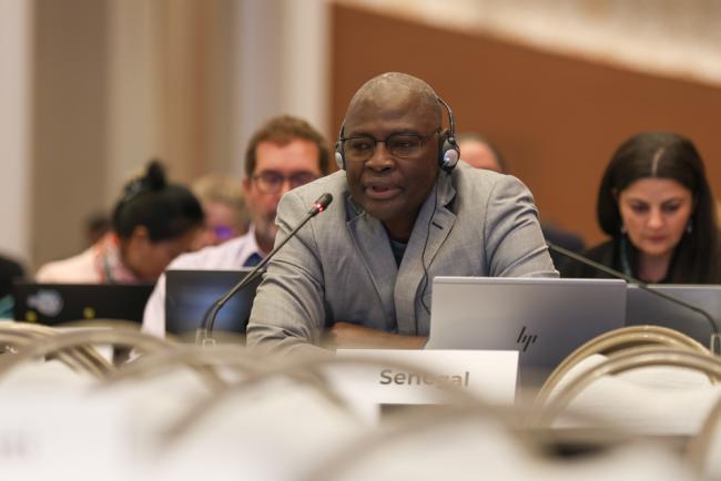 Djibril Diouck, Senegal