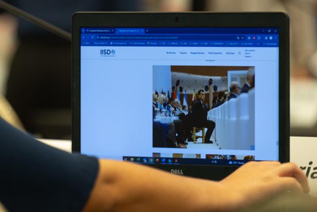 Delegates visit the ENB website to keep up to date with the meeting