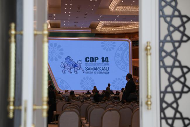 Delegates gather in plenary for the penultimate day of CMS COP14