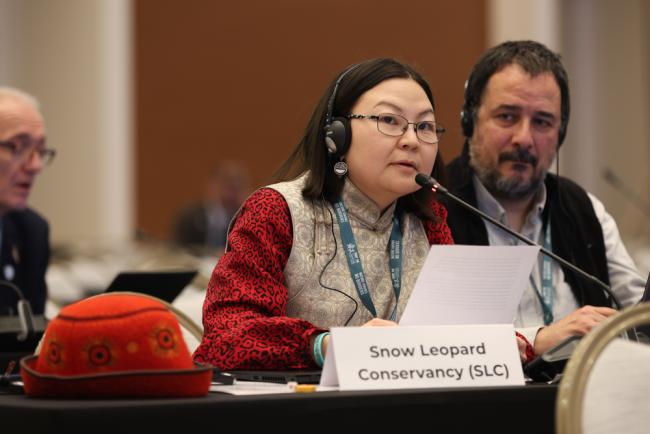 Maria Azhunova, Snow Leopard Conservancy