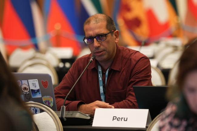 Carlos Enrique Michaud López, Peru