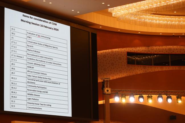 In the morning plenary, delegates review various Conference Room Papers (CRPs) to be recommended for adoption by the COP