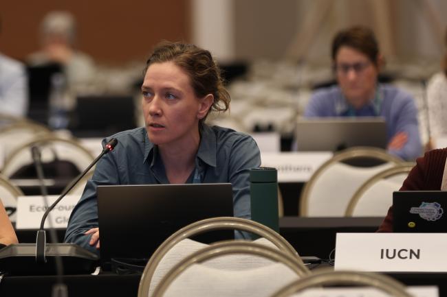Erin Wessling, International Union for Conservation of Nature (IUCN)