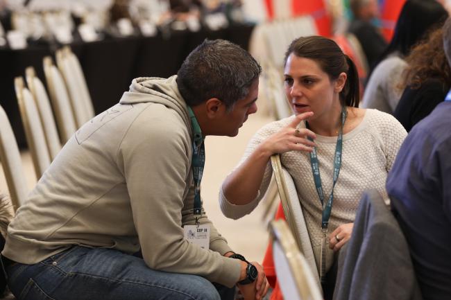 Delegates consult informally