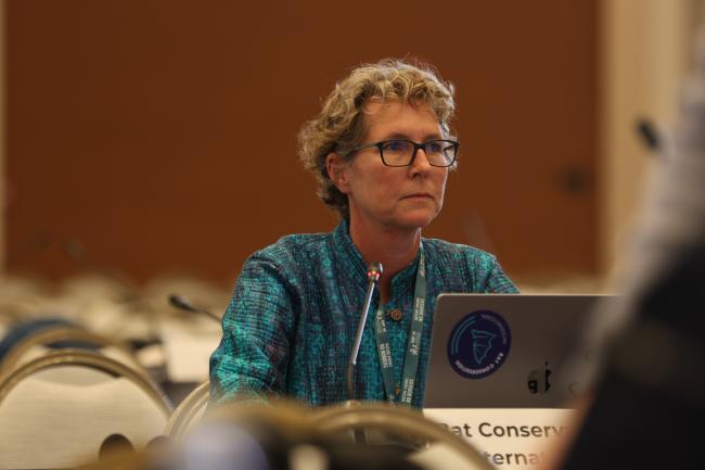 Winifred Frick, Bat Conservation International