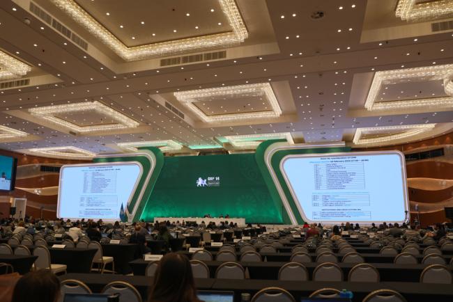 Afternoon plenary resumes to continue the discussion on CRPs