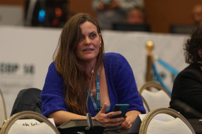 Irene Kingma, on behalf of Coalition Clean Baltic, the Fisheries Secretariat, and the Informal Eel Alliance