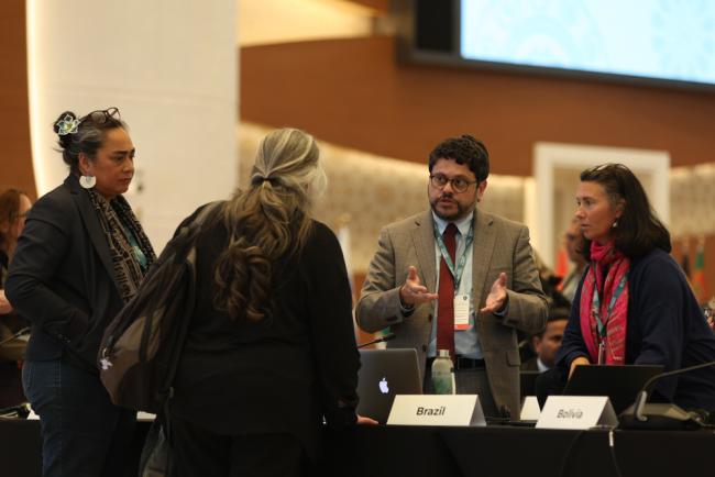 Delegates from Cook Islands, EU, Brazil, and New Zealand consult