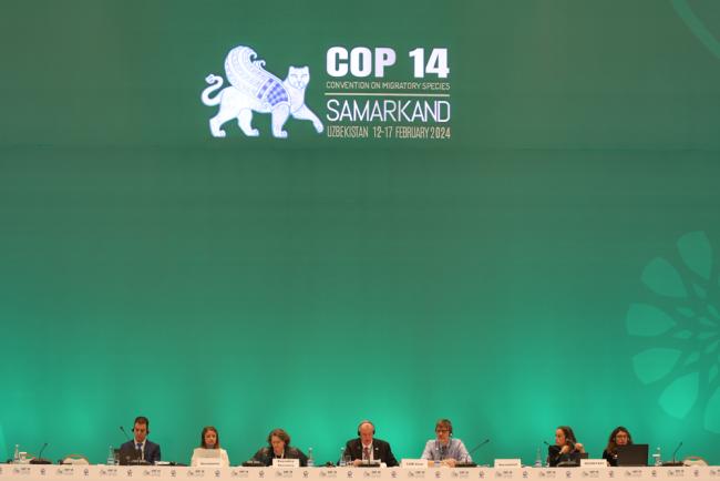 View of the dais during the morning plenary 